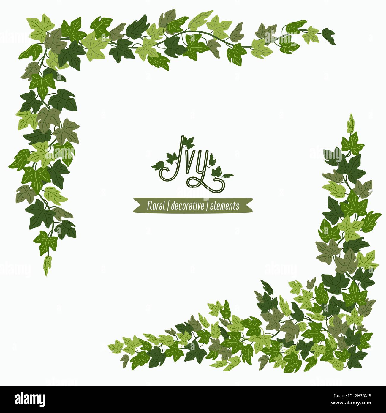 Ivy corners, green vines decorative frame or design elements ...