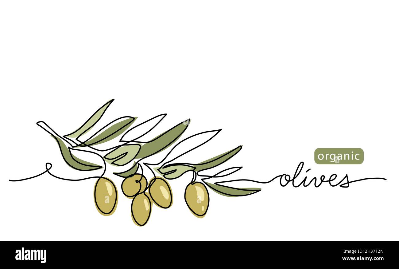 Green olives art vector drawing. One continuous line art with lettering organic green olives Stock Vector