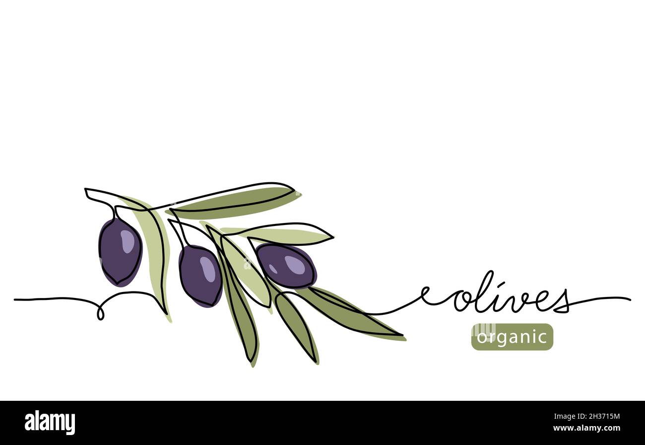 Olive branch with black olives. Simple vector illustration. One continuous line art drawing with lettering organic olives Stock Vector