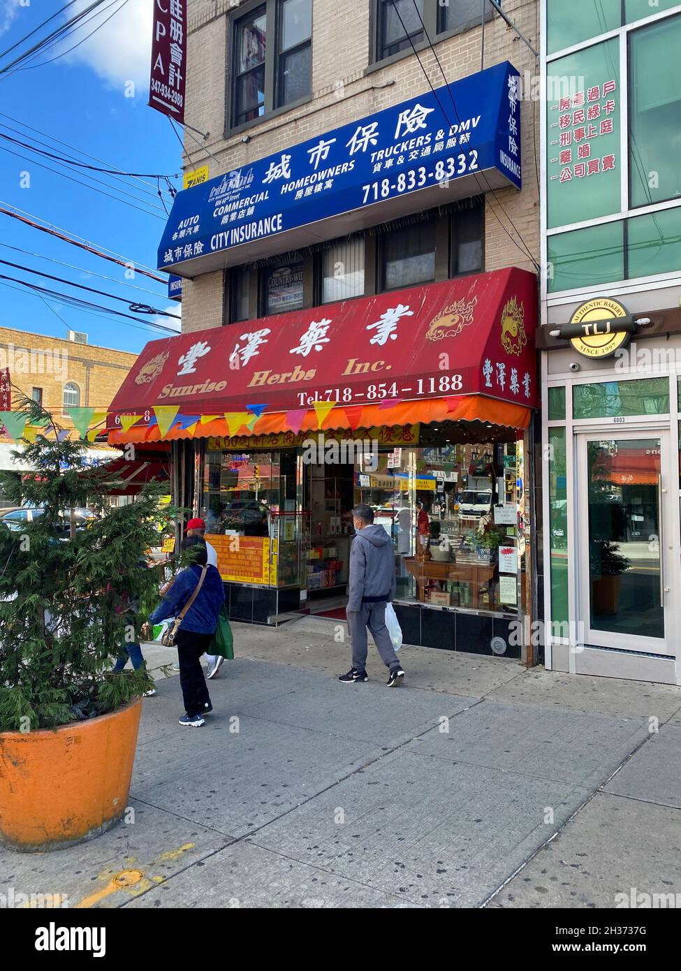 Herb store in the Chinatown neighborhood along 8th Avenue in Sunset