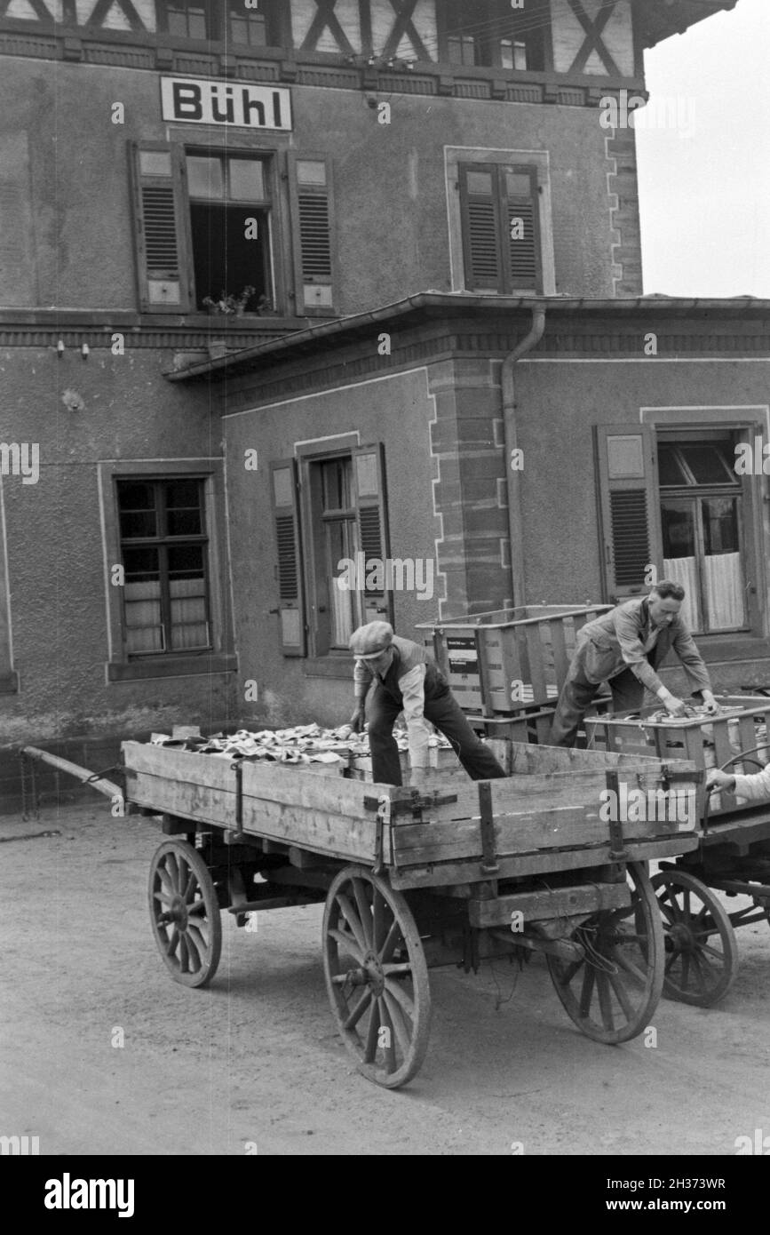 Verladen der Erdbeerernte auf Güterzüge der Deutschen Reichsbahn am Bahnhof in Bühl, Deutschland 1930er Jahre. Loading trains with strawberry harvest at Buehl station, Germany 1930s. Stock Photo