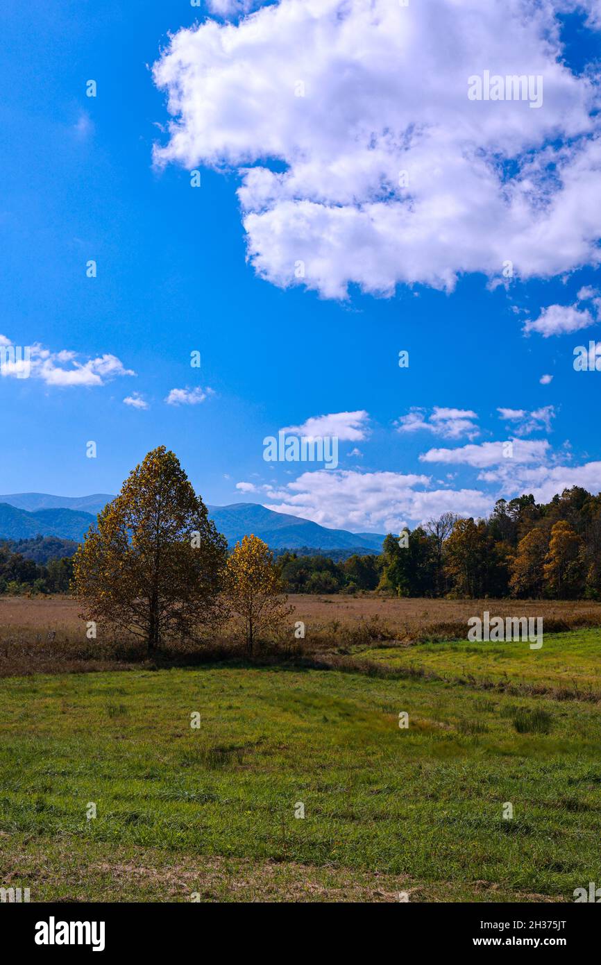 Nice landscape view at Cades Cove loop in Great Smoky Mountain Stock Photo