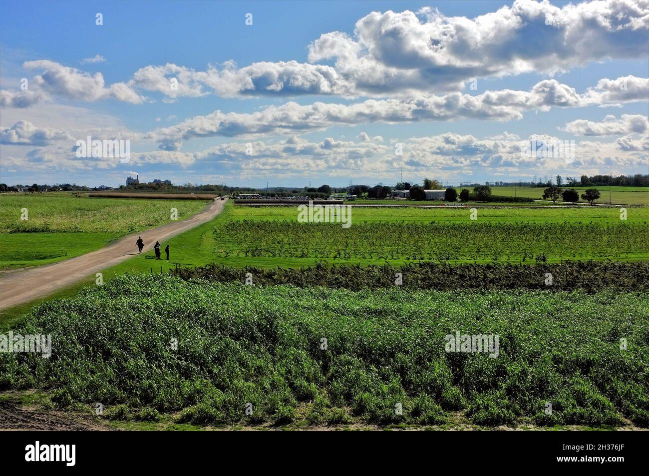 Fields in Ontario Stock Photo Alamy