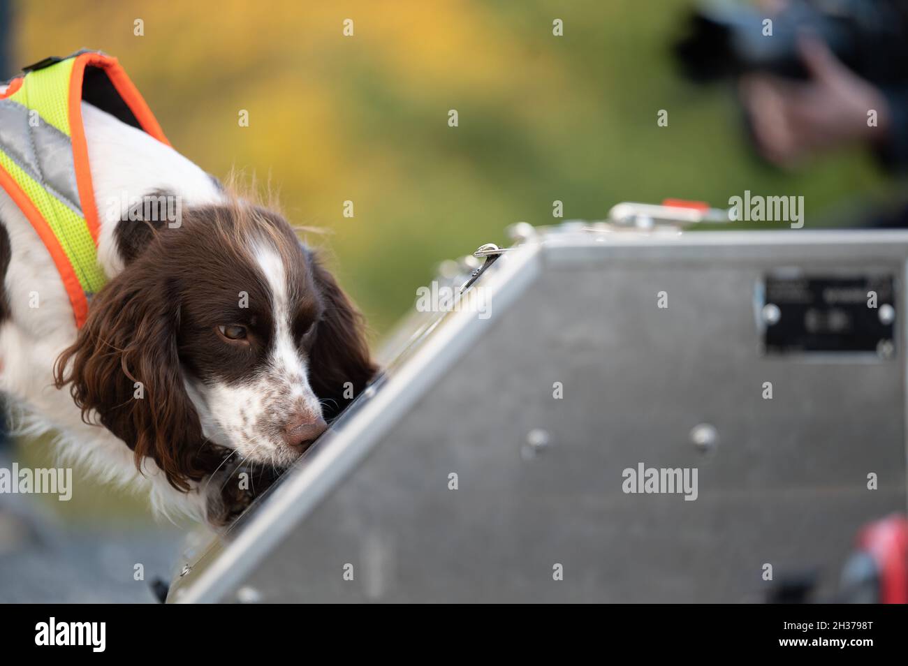26 October 2021, Hessen, Frankfurt/Main The species protection sniffer