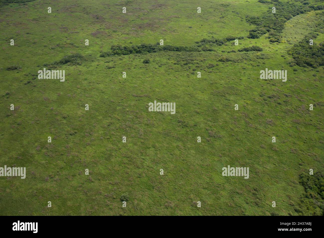 Aerial view of green forest. High quality photo Stock Photo - Alamy