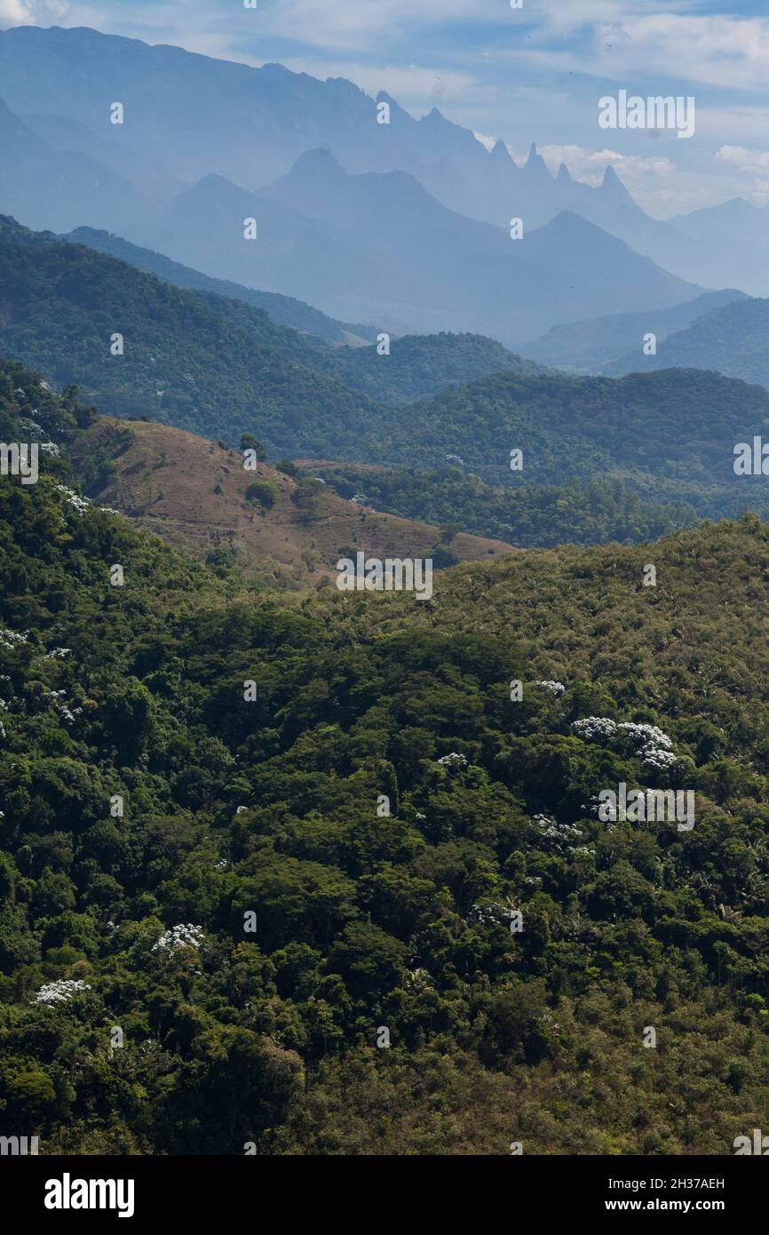 Aerial view of green forest. High quality photo Stock Photo - Alamy