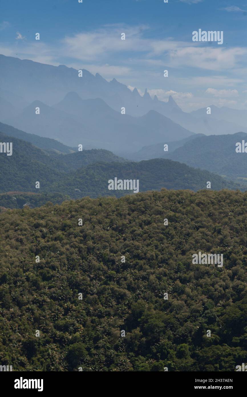 Aerial view of green forest. High quality photo Stock Photo - Alamy