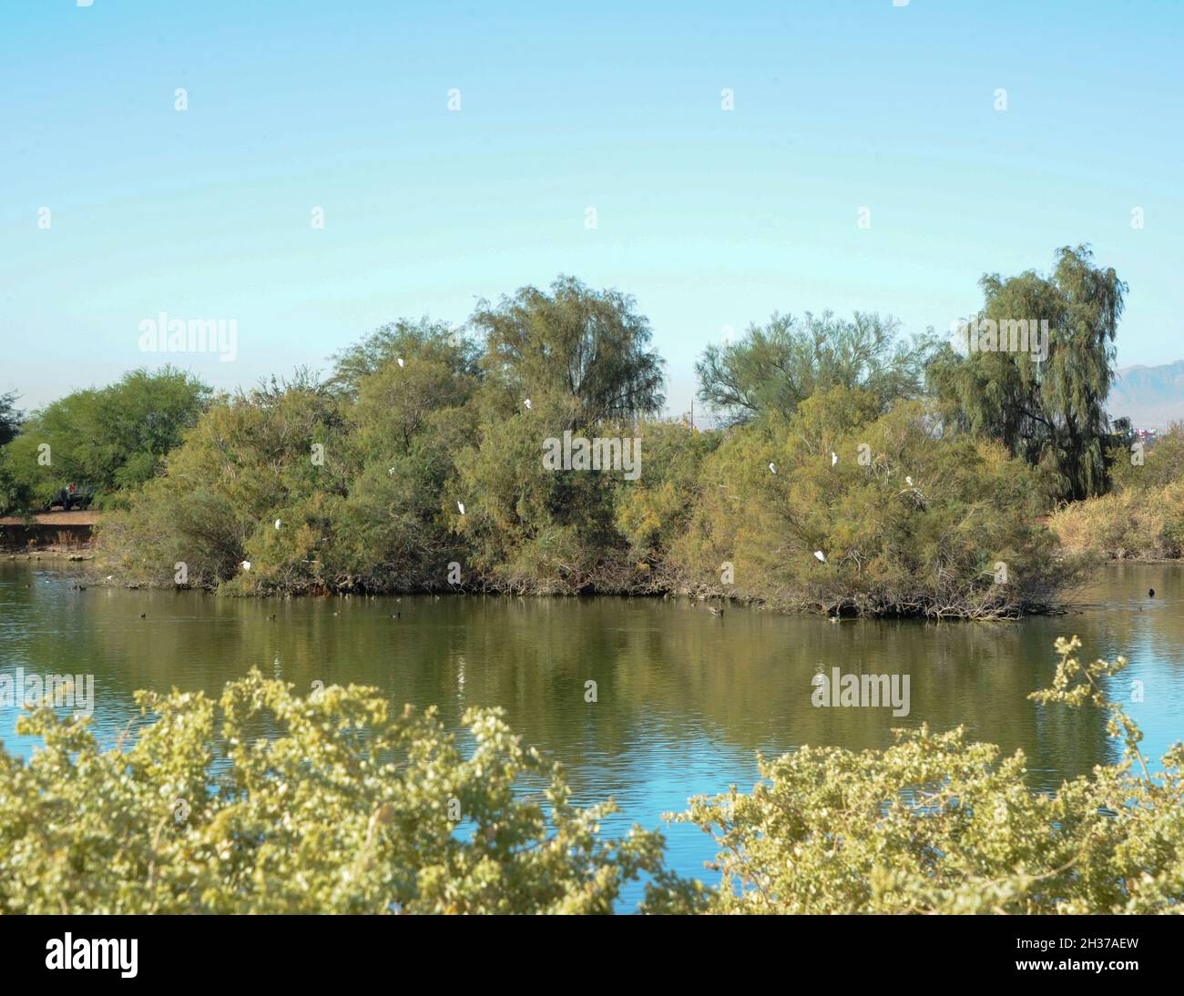 Henderson Bird Viewing Preserve, Henderson, NV Stock Photo Alamy