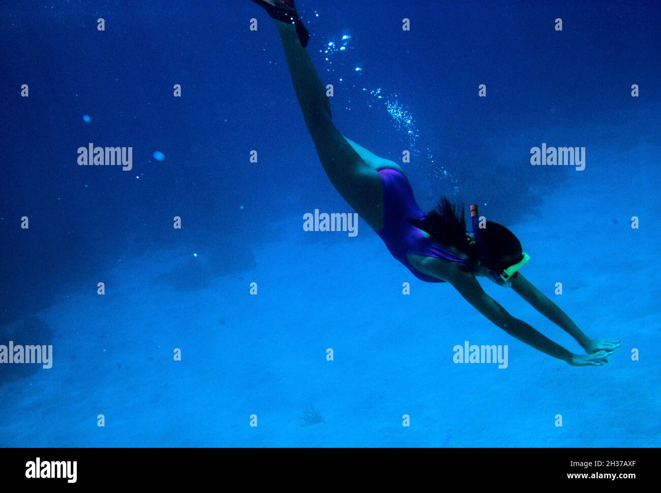 MALDIVES. DIVING. SNORKLING Stock Photo