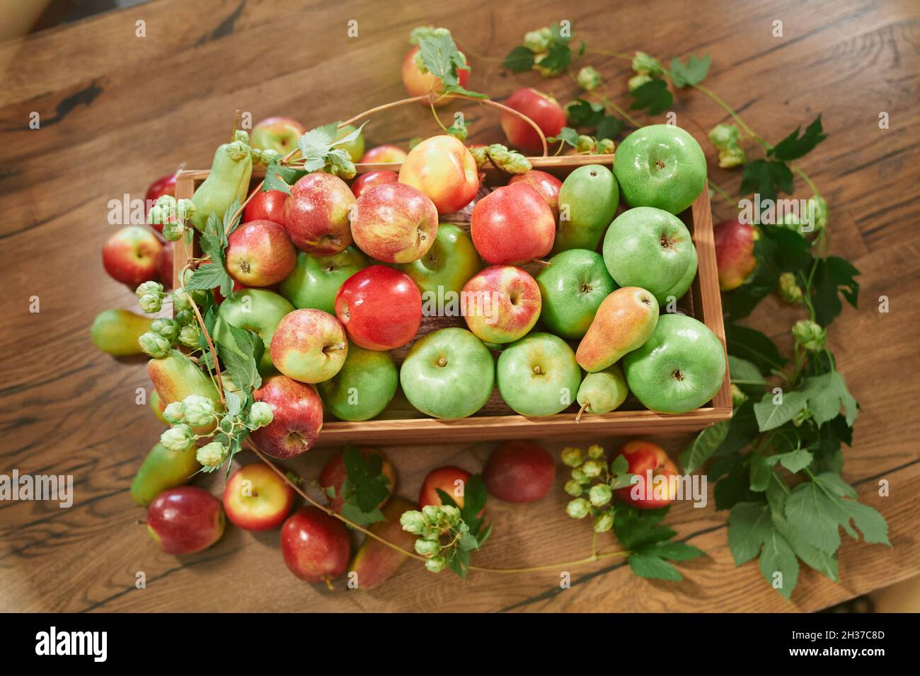 Farm fresh organic red and green apples on wooden table in paste