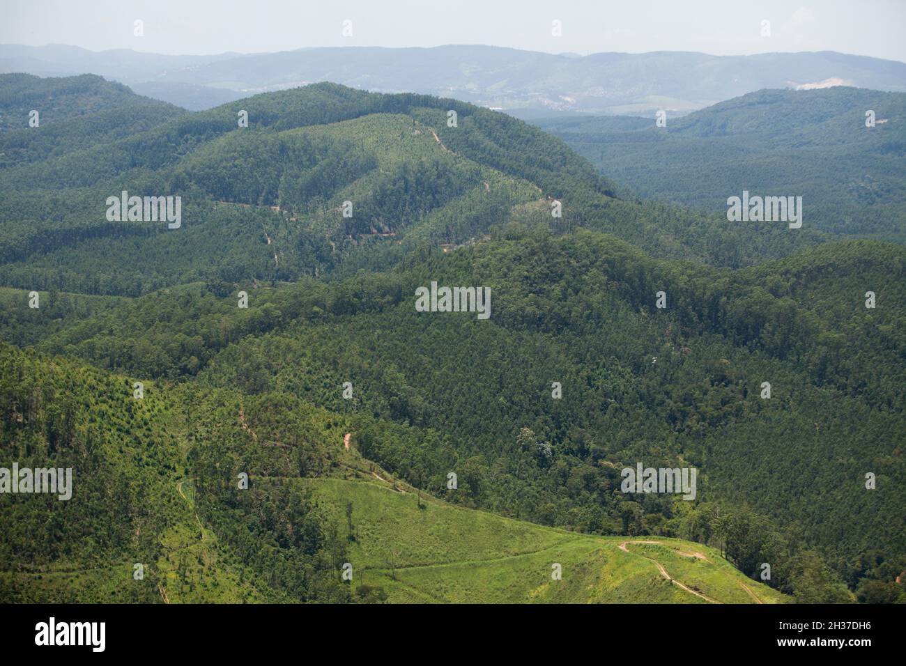 Aerial view of green forest. High quality photo Stock Photo - Alamy