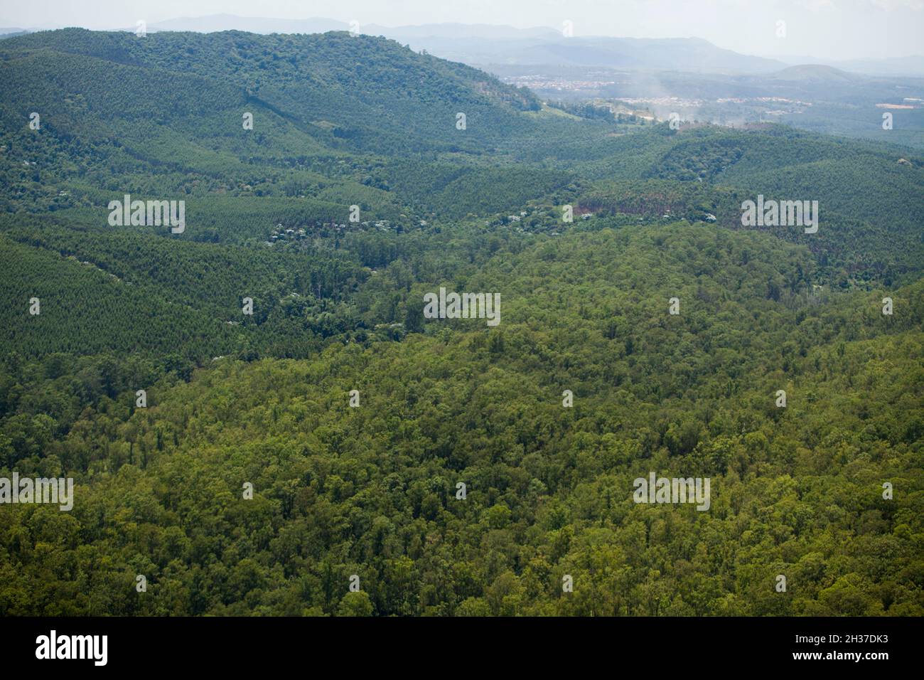 Aerial view of green forest. High quality photo Stock Photo - Alamy