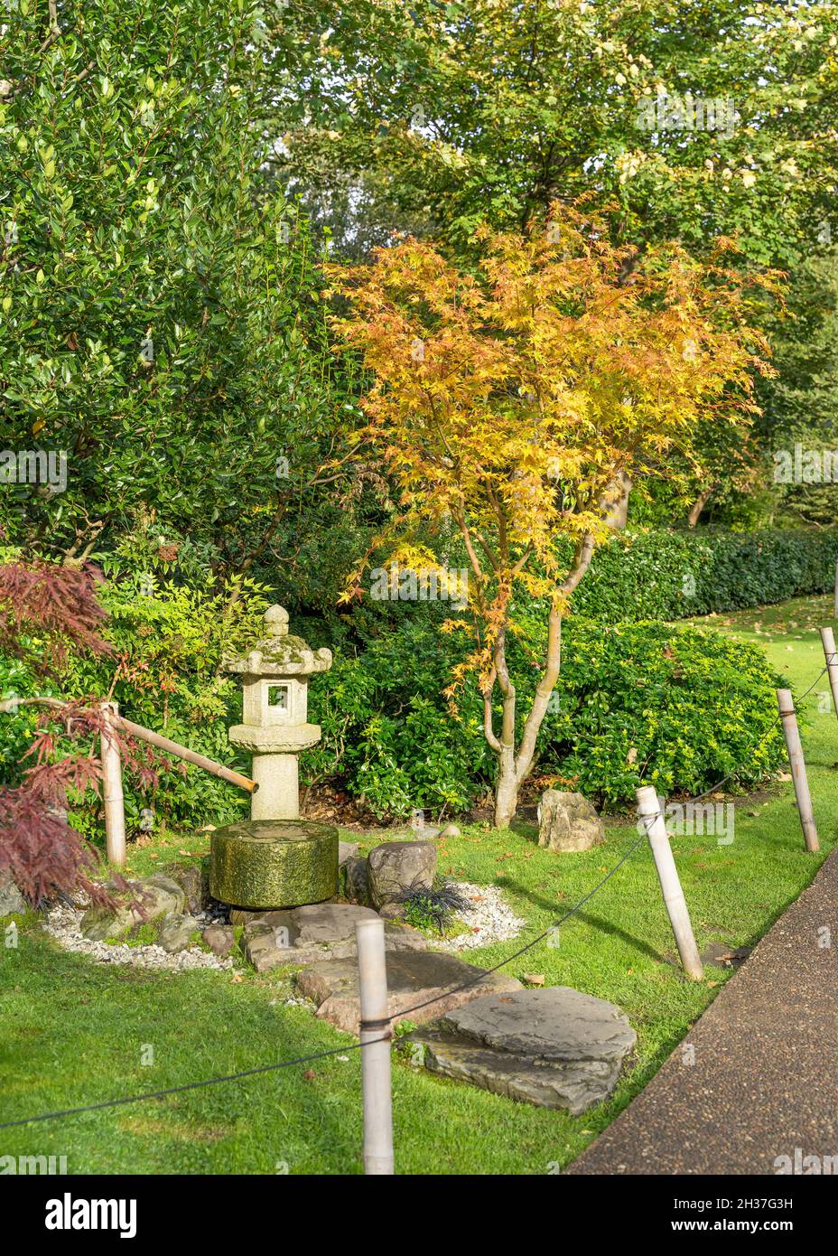 Japanese themed garden with a lucky coin fountain and oriental stone lantern. Surrounded by the autumn colours of the trees. Stock Photo