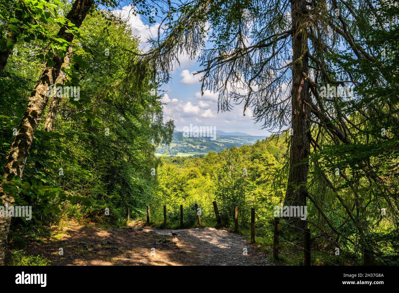 View from the footpath leading to the top of The Birks at Aberfeldy in Highland Perthshire, Scotland, UK Stock Photo