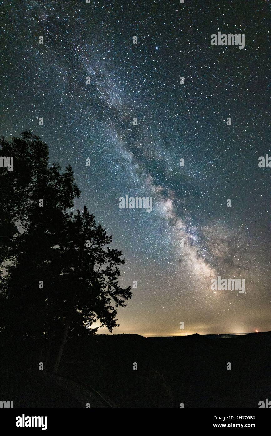 Silhouette of a tree against the starry night Stock Photo - Alamy