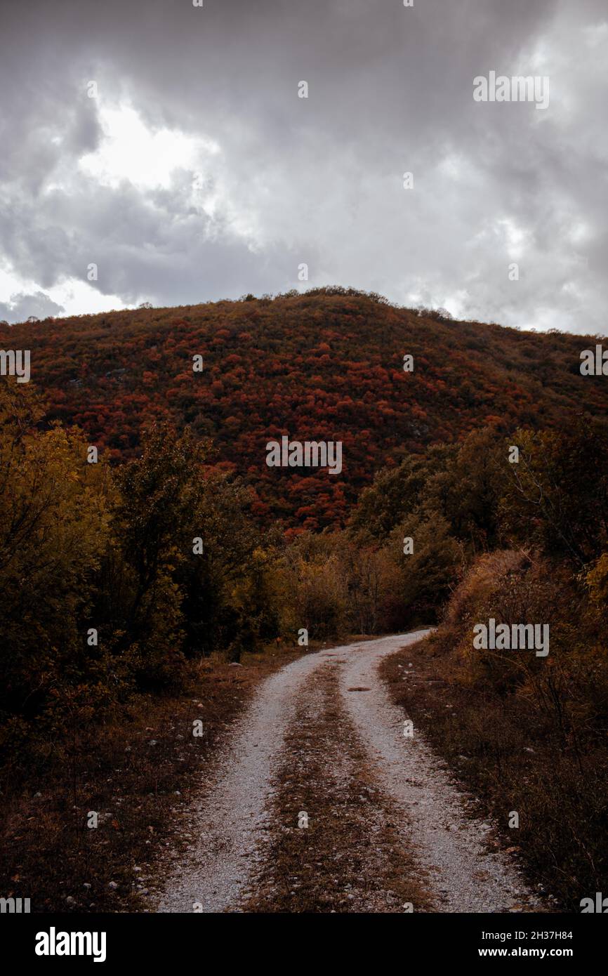Rural road leading to a mountain covered with colorful trees in autumn ...
