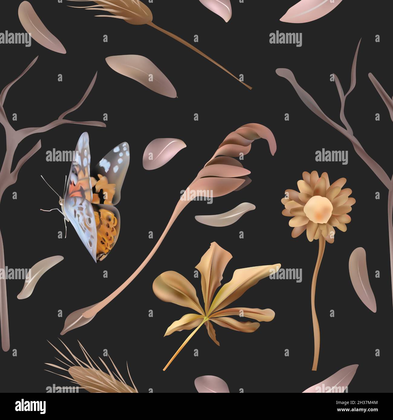 Dry flower composition Stock Vector Images - Alamy