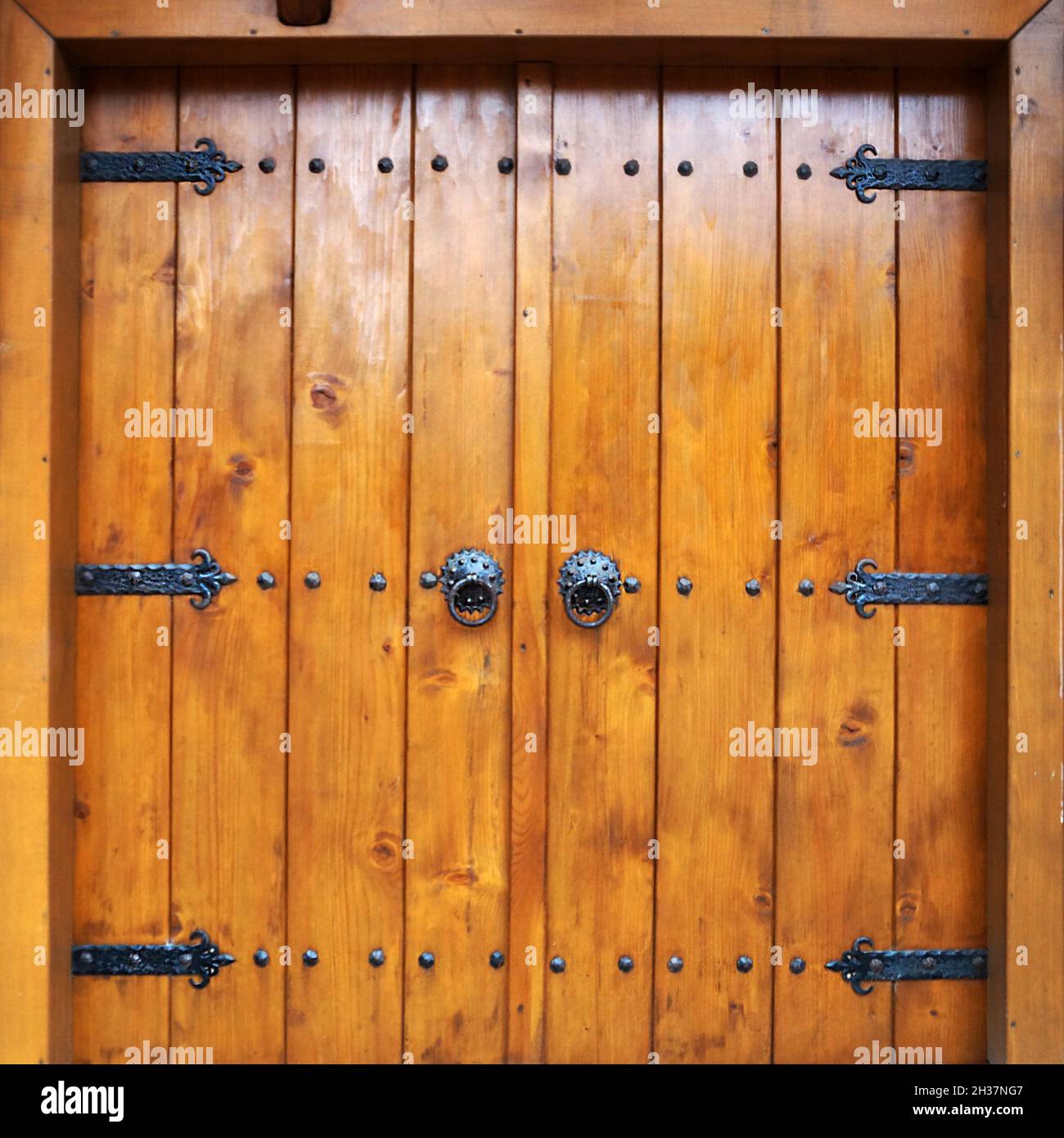 old double leaf wooden door with metal vintage hinges and handles. Stock Photo