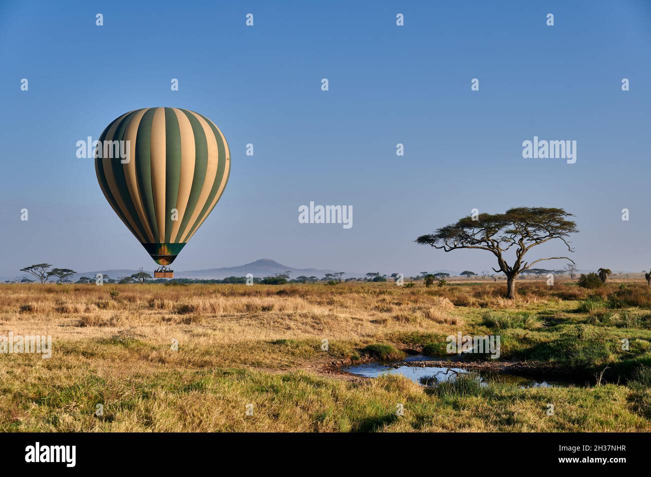 Hot air balloon over landscape of Serengeti National Park, Tanzania, Africa Stock Photo