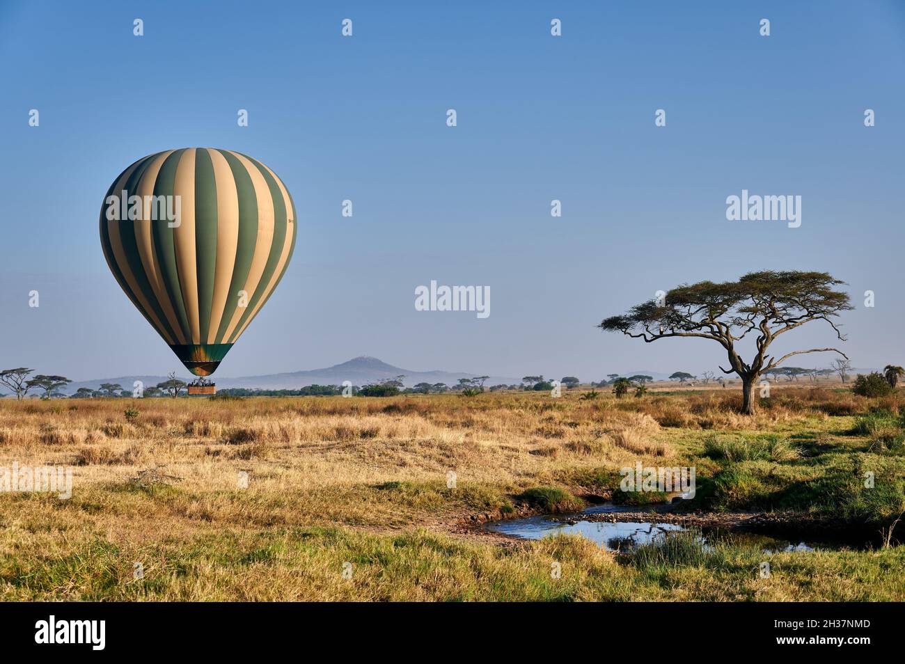 Hot air balloon over landscape of Serengeti National Park, Tanzania, Africa Stock Photo
