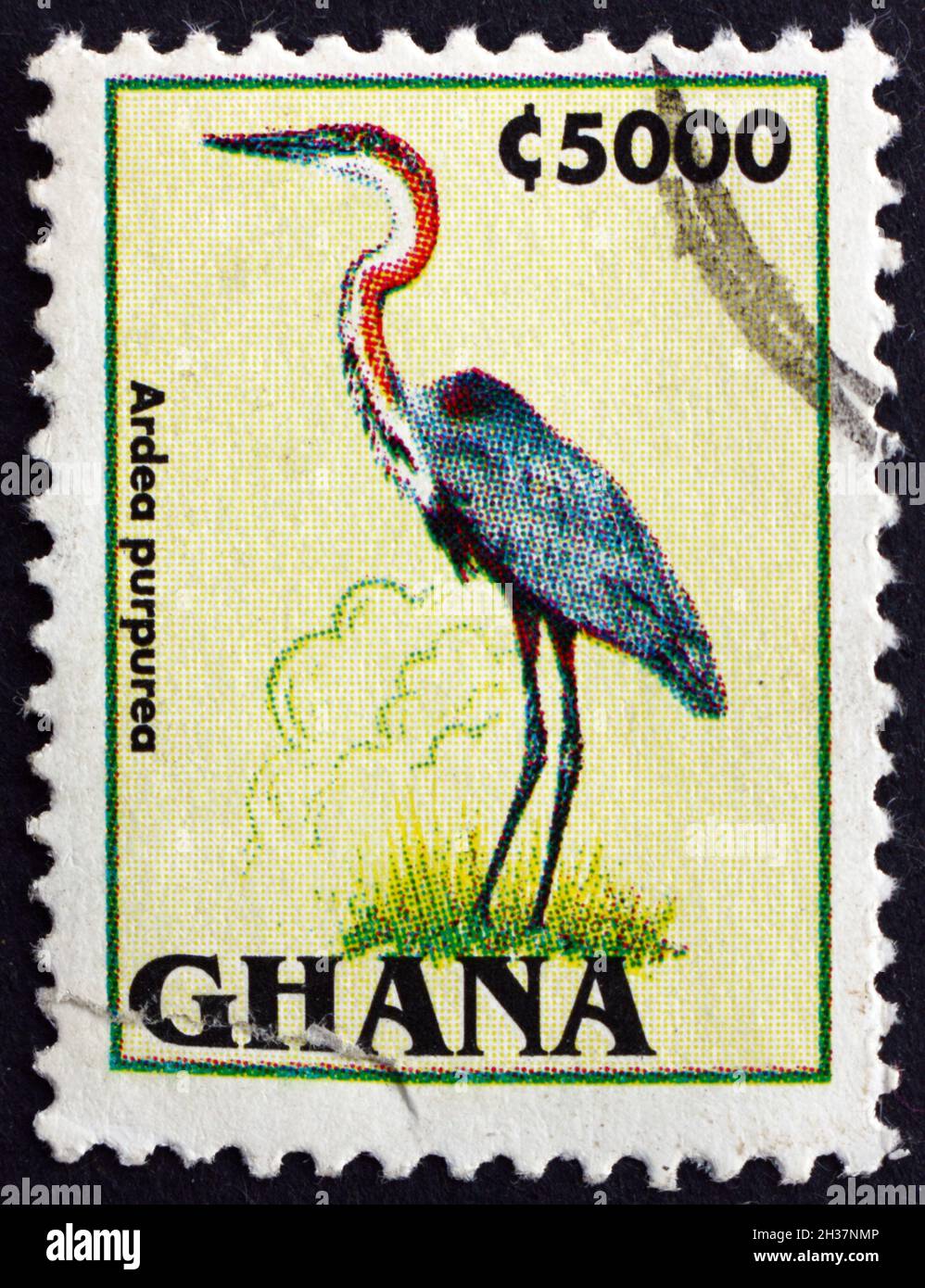 GHANA - CIRCA 1995: a stamp printed in Ghana shows Purple Heron, Ardea Purpurea, Bird, circa 1995 Stock Photo