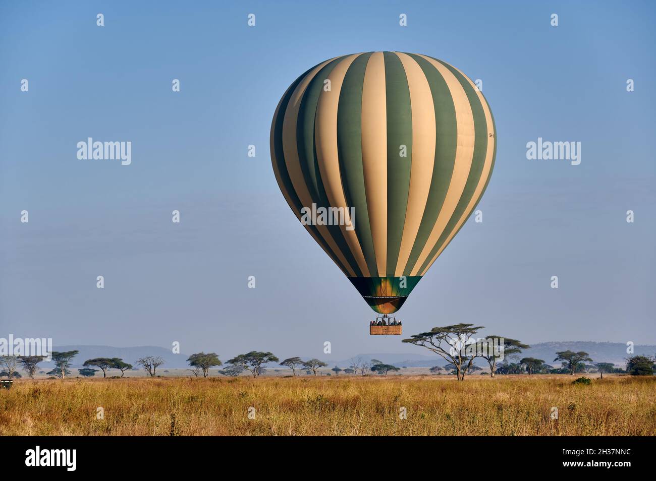 Hot air balloon over landscape of Serengeti National Park, Tanzania, Africa Stock Photo