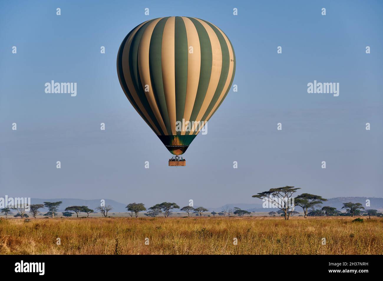 Hot air balloon over landscape of Serengeti National Park, Tanzania, Africa Stock Photo