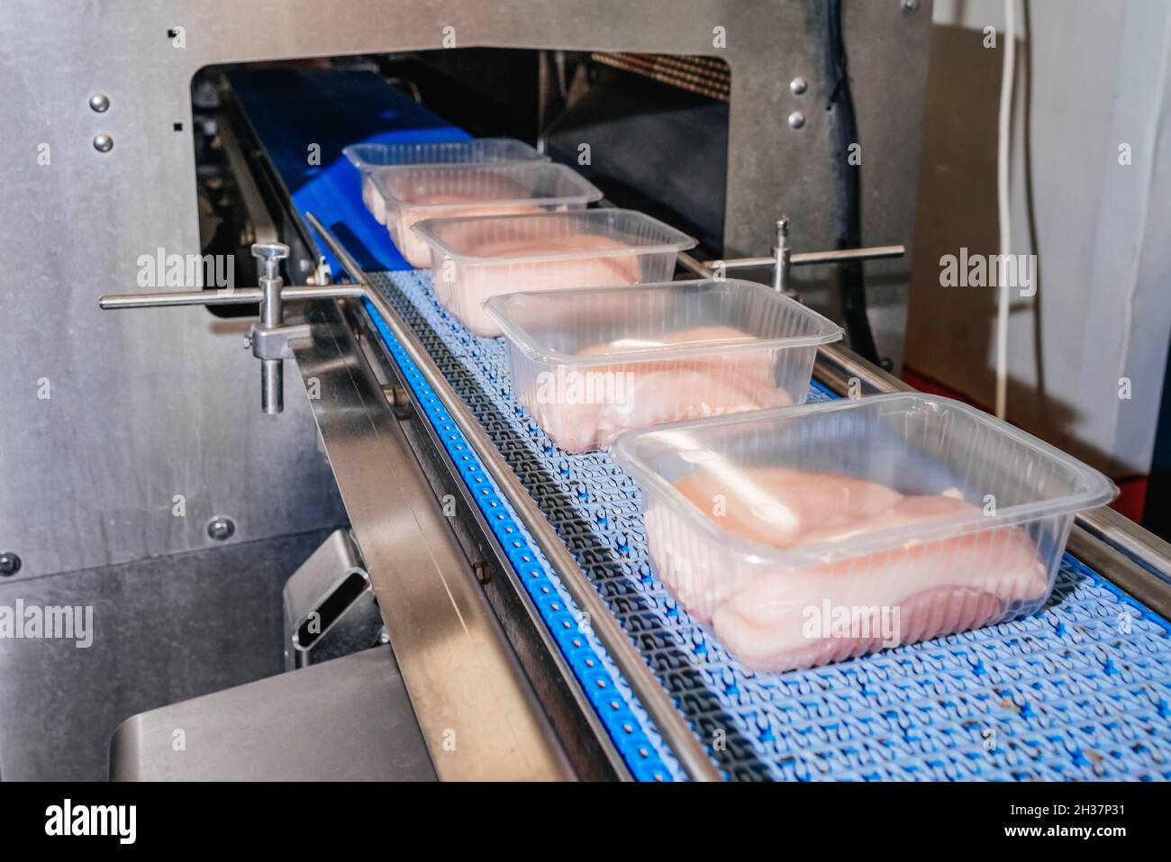 Meat processing plant.Chicken fillet production line .Automated