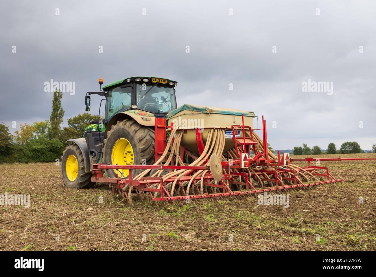 Tractor in a field sowing wheat seeds in the autumn. Much Hadham, Hertfordshire, UK. Stock Photo