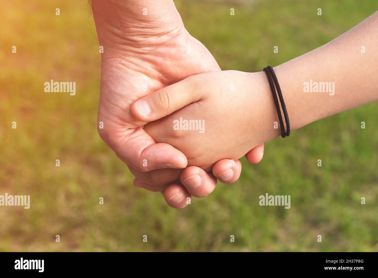 Father holds the hand of a child daughter against blurred nature outdoor background with sunlight. Trust, care and parenting family, father's day concept Stock Photo