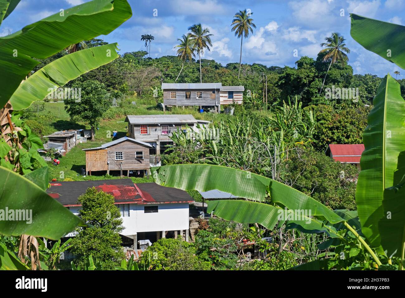 Rural village with wooden houses on stilts on the island of Grenada