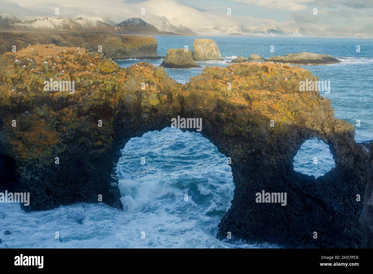 Gulls on Gatklettur rock arch at Arnarstapi looking east along the south coast of the Snæfellsnesnes peninsula in the Western part of Iceland Stock Photo