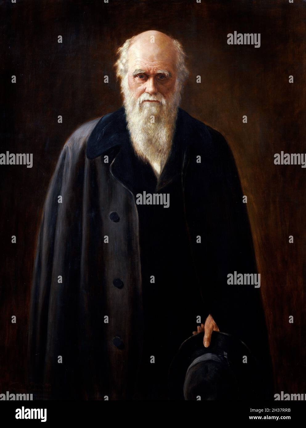 Charles Darwin. Portrait of the English naturalist, Charles Darwin (1809-1882) by Mabel Beatrice Messer, oi on canvas, 1912. The painting is a copy of a work by John Collier Stock Photo