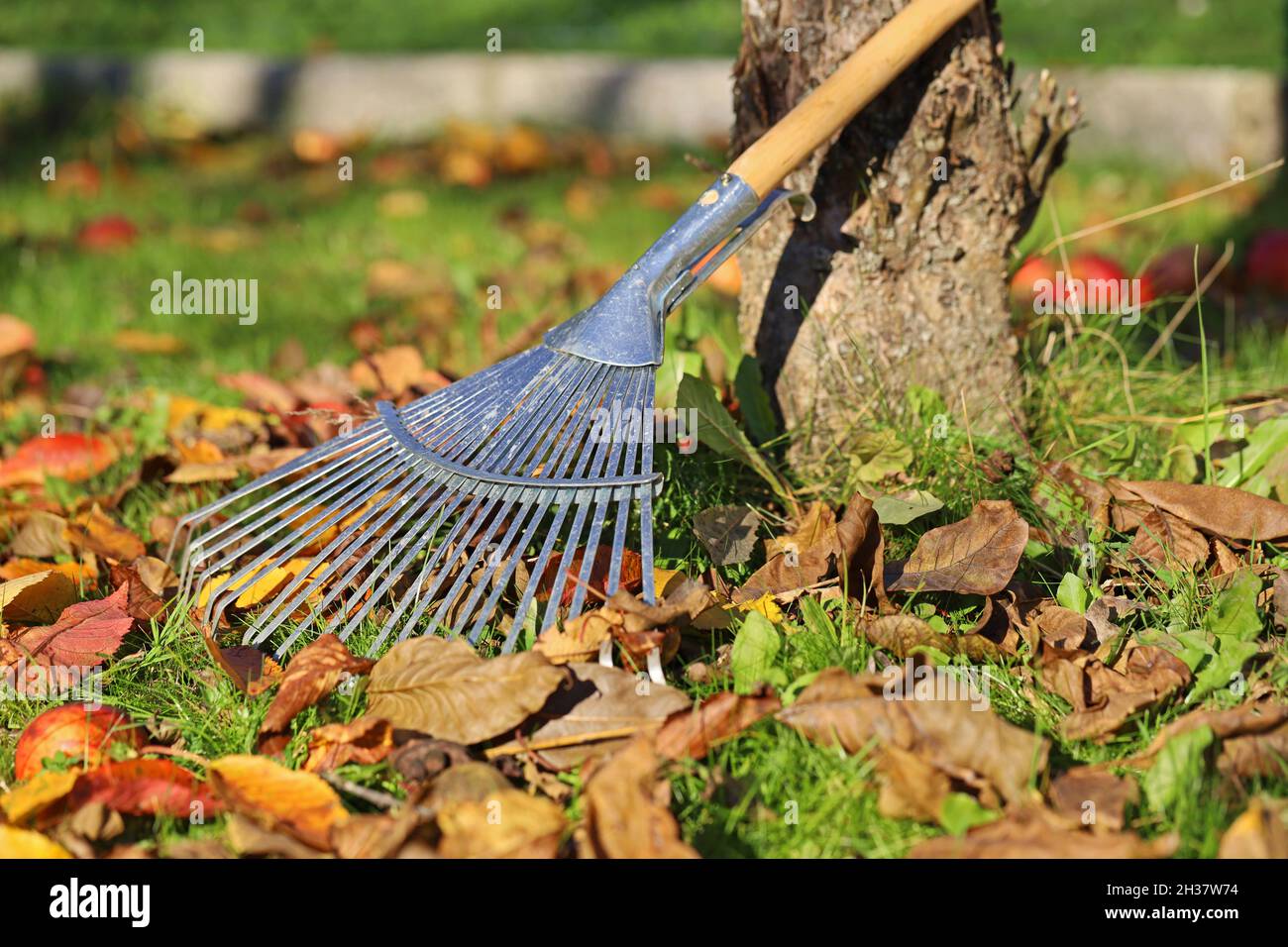 Yellow garden rake hires stock photography and images Alamy