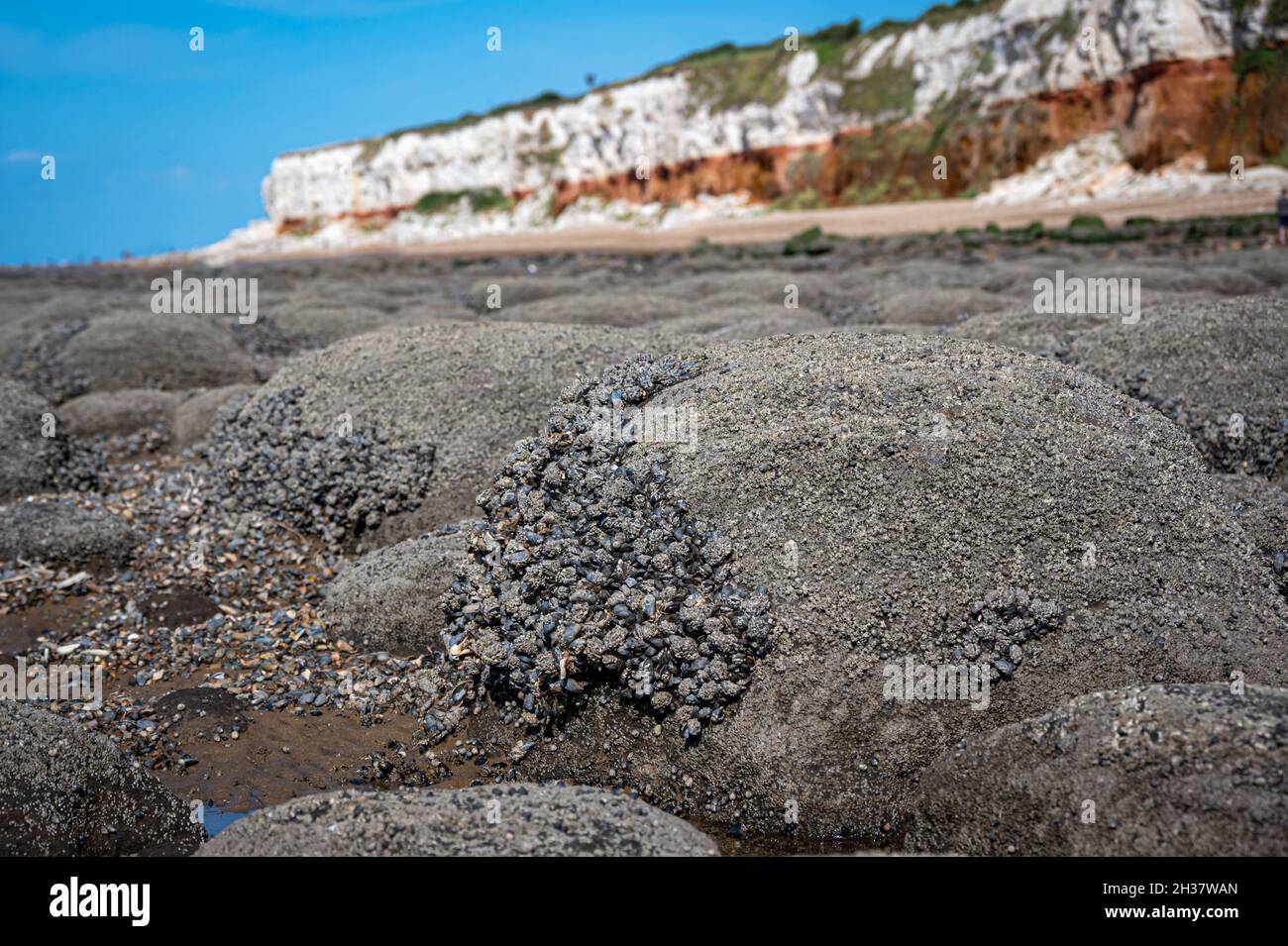 Hunstanton cliffs pebbles hi-res stock photography and images - Alamy