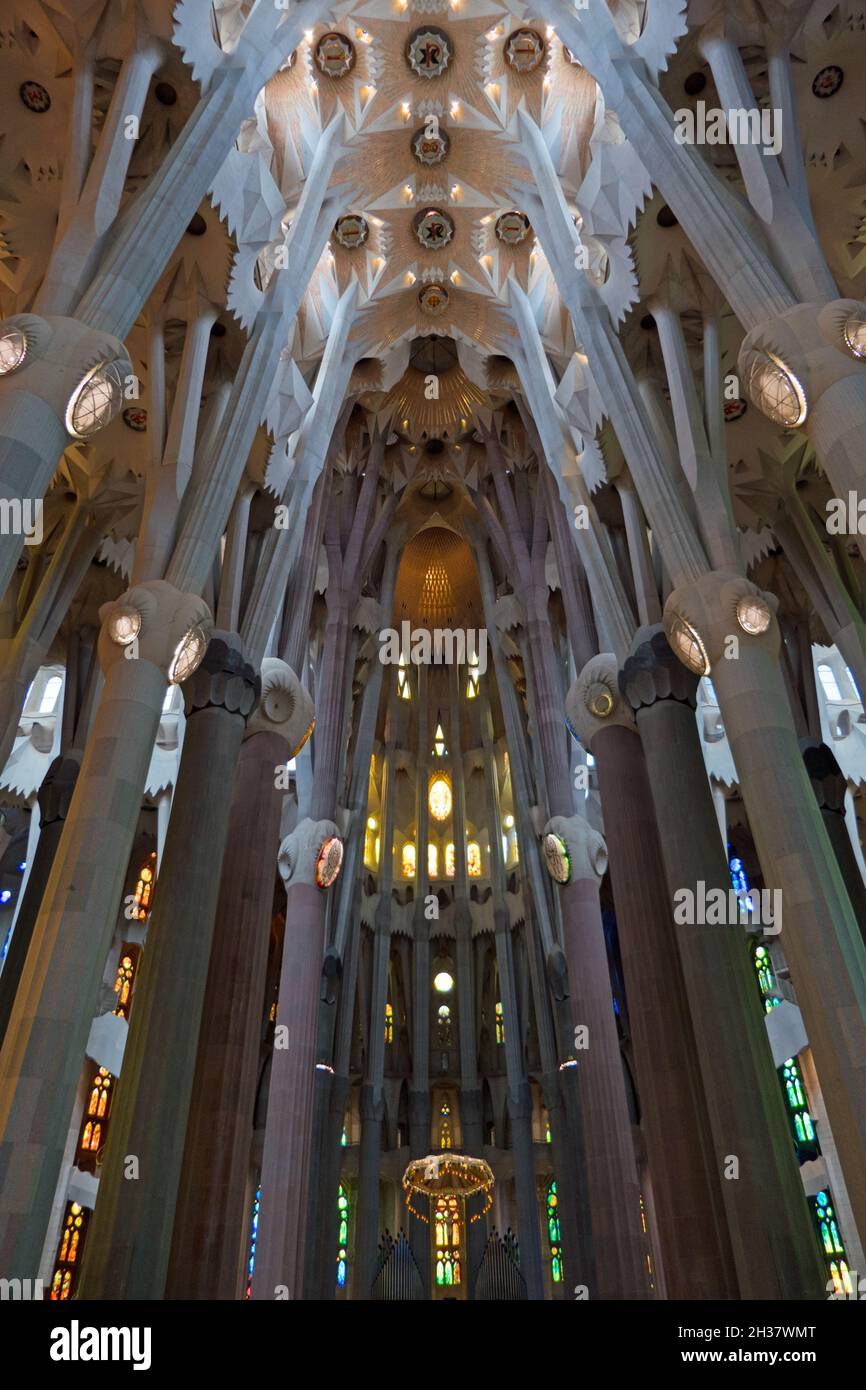 Interior of Sagrada Familia basilica by Gaudi in Barcelona, Spain with ...