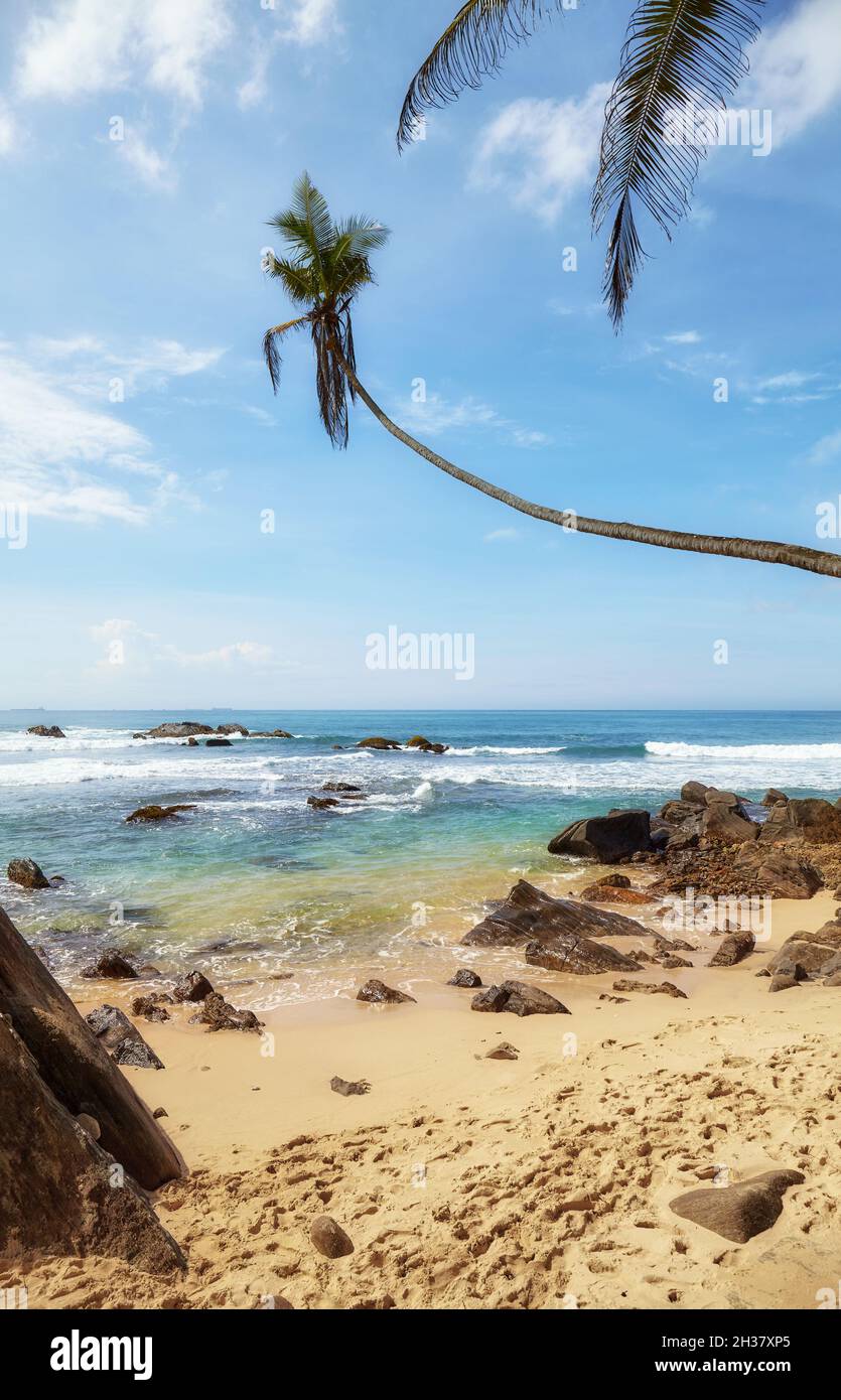 Beautiful tropical sandy beach with rocks, Sri Lanka. Stock Photo