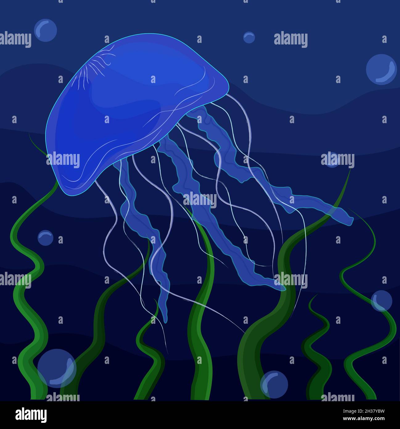 Blue jellyfish on a dark blue background with green algae Stock Vector
