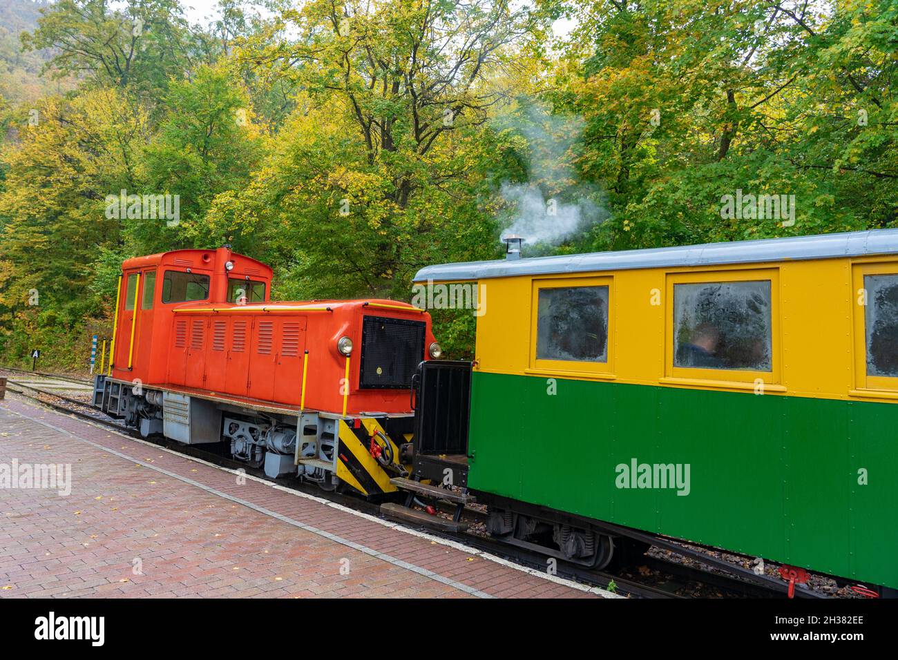 small narrow gauge train in Szalajka valley szilvasvarad Hungary Stock Photo