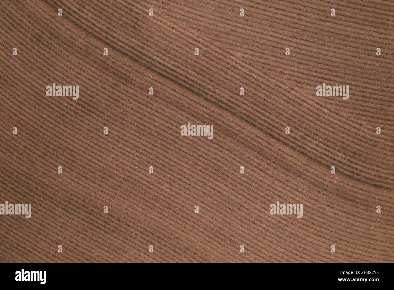 Transportation sugarcane from fields hi-res stock photography and ...