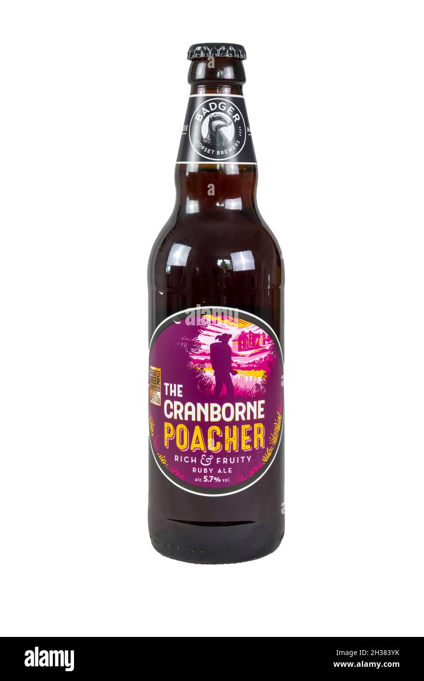 A bottle of The Cranborne Poacher, rich & fruity ruby ale, from the Badger Brewery.  It has a strength of 5.7% ABV. Stock Photo