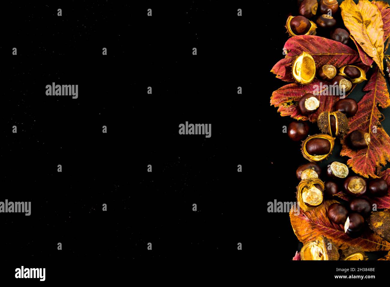 Oktober 2021. Black autumn background with chestnuts. High quality photo. Isolated. Stock Photo