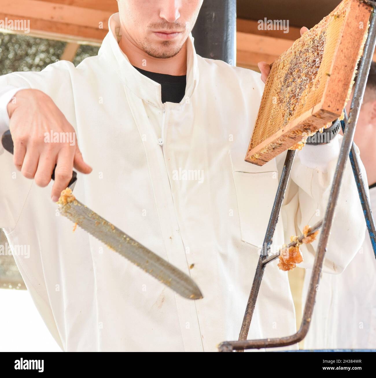 Young Caucasian beekeeper using honey uncapping knife on a