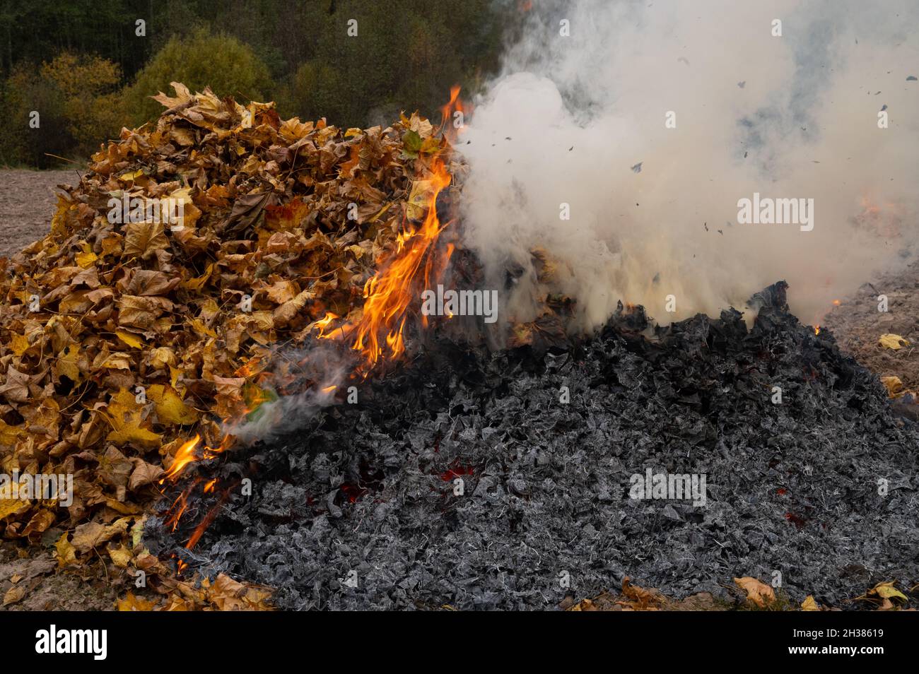 Burning dry leaves hires stock photography and images Alamy