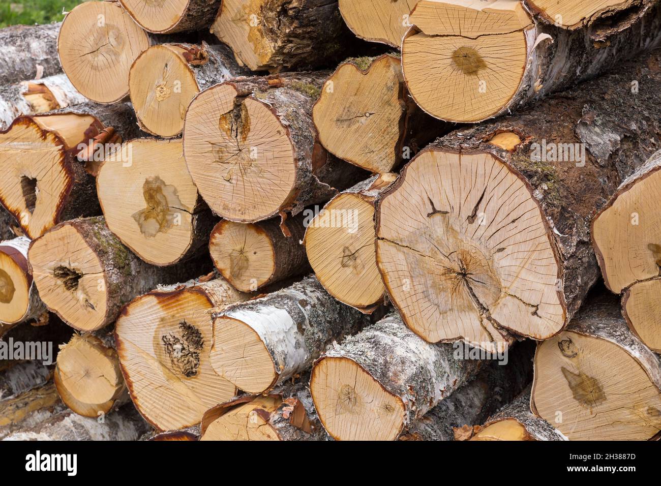 Pile of birch logs. Background from cut birch logs Stock Photo - Alamy