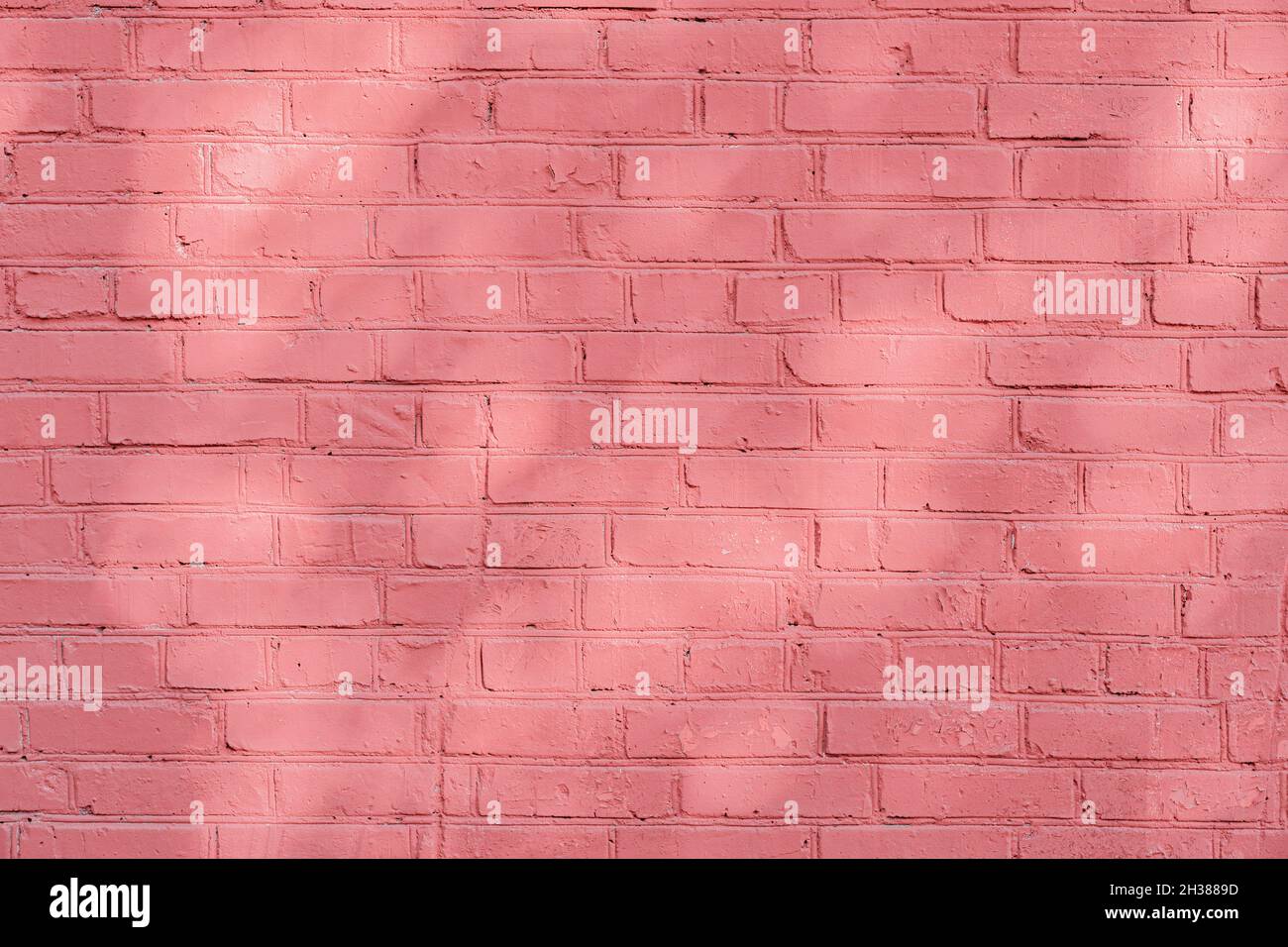 Tree shadows on painted light pink brick wall, sunlight, pastel