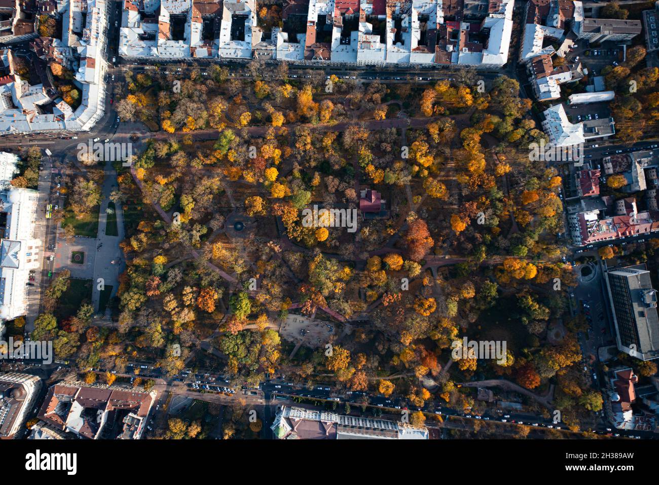 Aerial view on park in autumn from drone Stock Photo - Alamy