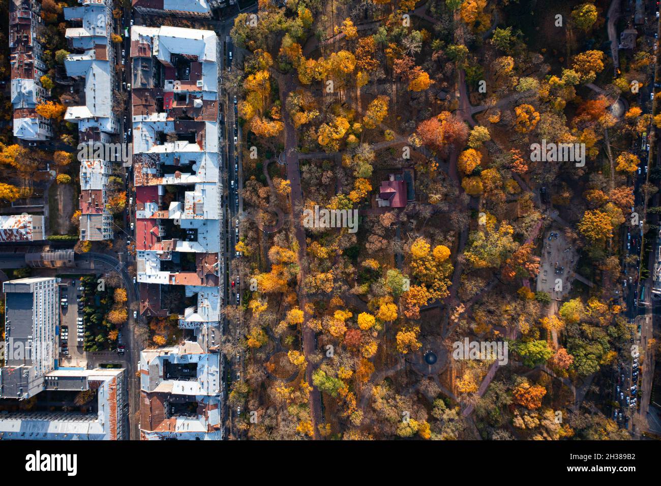 Aerial view on park in autumn from drone Stock Photo - Alamy