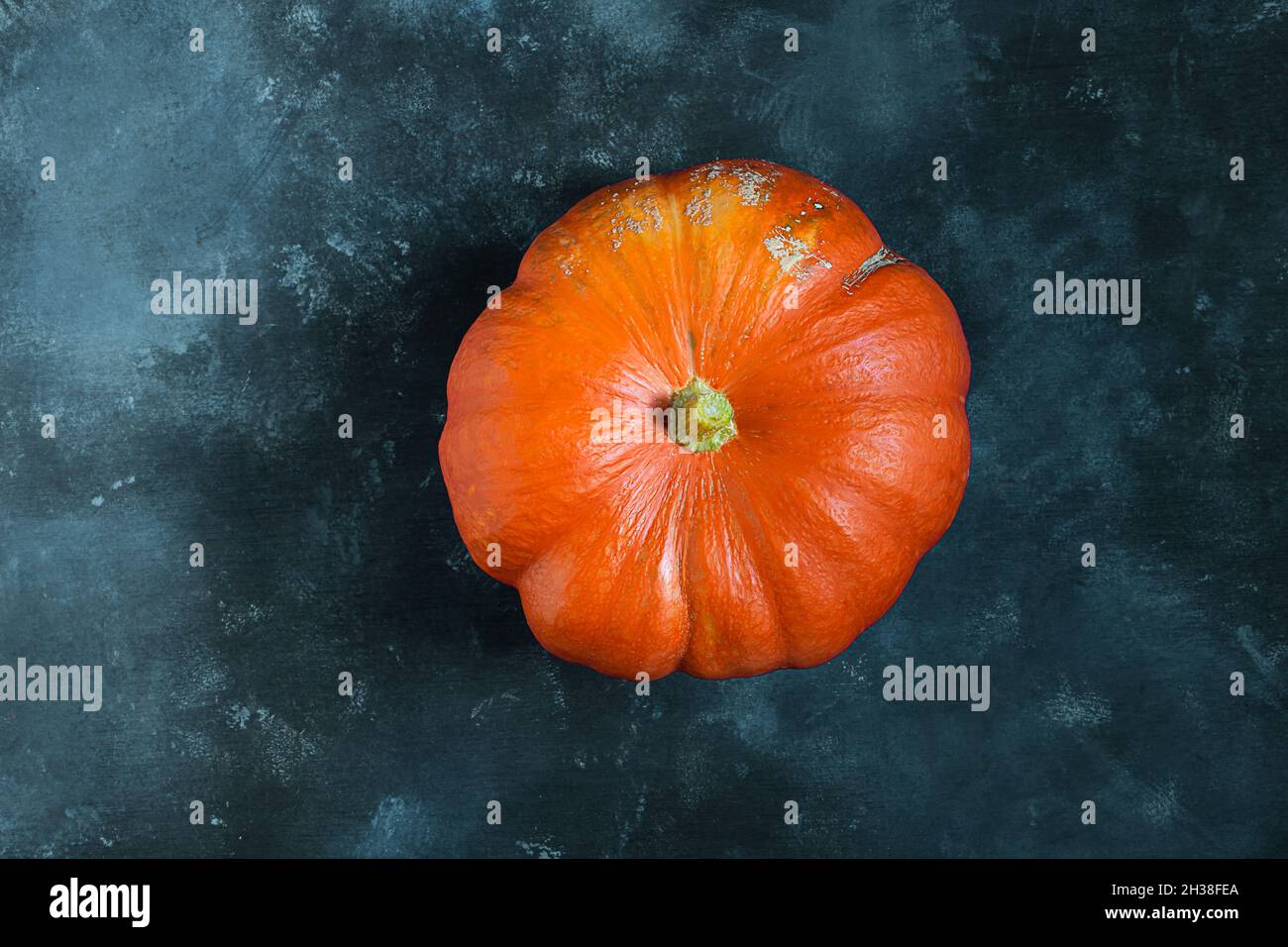 A fresh organic ripe potimarron pumpkin isolated on a blue background, autumn and harvesting concept Stock Photo