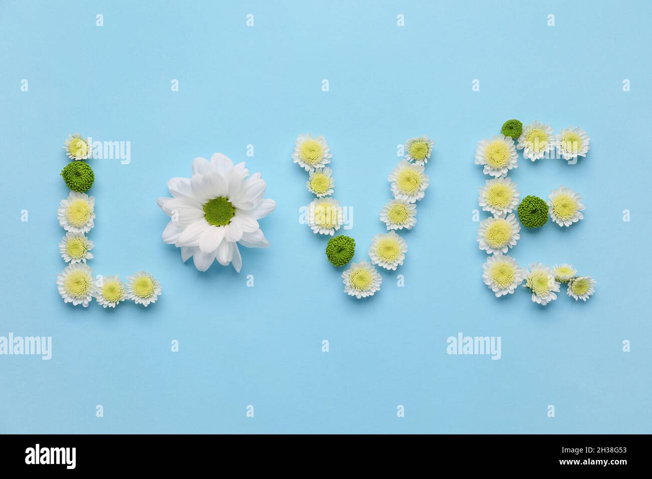 Word LOVE made of beautiful flowers on blue background Stock Photo - Alamy